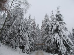 Advent am Buchberg 2014